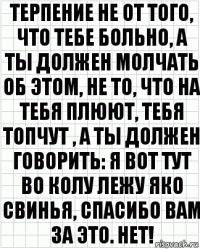 терпение не от того, что тебе больно, а ты должен молчать об этом, не то, что на тебя плюют, тебя топчут , а ты должен говорить: я вот тут во колу лежу яко свинья, спасибо вам за это. нет!