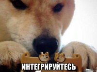  интегрируйтесь