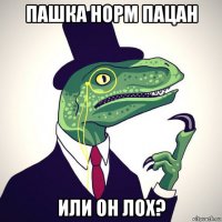 пашка норм пацан или он лох?