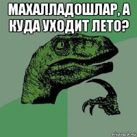 махалладошлар, а куда уходит лето? 