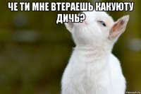 че ти мне втераешь какуюту дичь? 