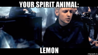 your spirit animal: lemon