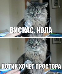 вискас, кола котик хочет простора