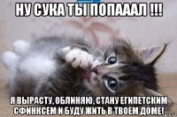 ну сука ты попааал !!! я вырасту, облиняю, стану египетским сфинксем и буду жить в твоем доме!