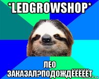 *ledgrowshop* лео заказал?подождёёёёёт