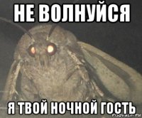 не волнуйся я твой ночной гость