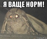 я ваще норм! 