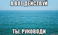 а вот действуй ты, руководи