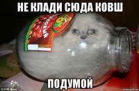 не клади сюда ковш подумой