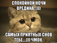 спокойной ночи вредина...))) самых приятных снов тебе....))) чмок.