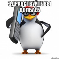 здравствуйте вы долбаёб 