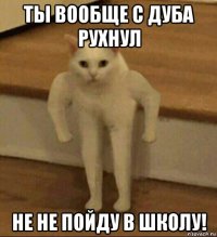 ты вообще с дуба рухнул не не пойду в школу!