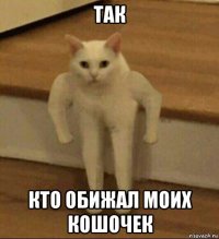 так кто обижал моих кошочек