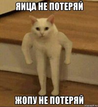 яица не потеряй жопу не потеряй