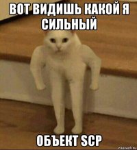 вот видишь какой я сильный объект scp