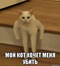  мой кот хочет меня убить