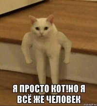  я просто кот!но я всё же человек