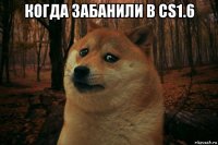 когда забанили в cs1.6 