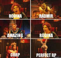 Rodina Radmir Amazing Rodina CRRP PERFECT RP