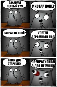 Захажу я первый раз Мистар попер Насрал на ковёр Улетел огромный пол Жили две старушки Превратились в две легушки