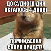 до судного дня осталось 4 дня!!! помни,белка скоро придет!!