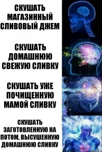 Скушать магазинный сливовый джем Скушать домашнюю свежую сливку Скушать уже почищенную мамой сливку Скушать заготовленную на потом, высушенную домашнюю сливку