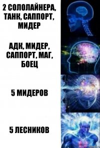 2 сололайнера, танк, саппорт, мидер Адк, мидер, саппорт, маг, боец 5 мидеров 5 лесников