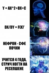 y = ax^2+bx+c dx/dy = f(x)' Нефрон - СФЕ почки Учится 4 года, Стрич ногти на ресепшене