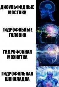 Дисульфидные мостики Гидрофобные головки Гидрофобная мохнатка Гидрофильная шоколадка