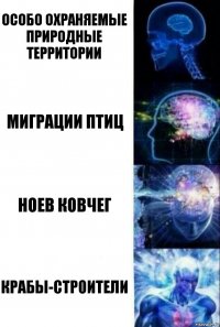 Особо охраняемые природные территории Миграции птиц Ноев ковчег Крабы-строители