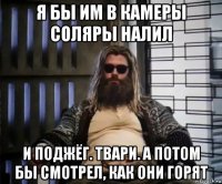 я бы им в камеры соляры налил и поджёг. твари. а потом бы смотрел, как они горят