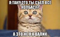 я:так!! это ты съел всё колбасу? а это не я а валик