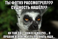 ты фотку рассмотрел??? сущность нашёл?? их там две... внизу и вверху.... в правом верхнем углу профиль ищи...