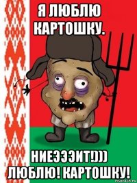 я люблю картошку. ниеэээит!))) люблю! картошку!