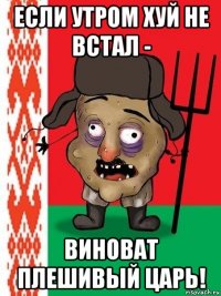 если утром хуй не встал - виноват плешивый царь!