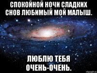 спокойной ночи сладких снов любимый мой малыш. люблю тебя очень-очень.