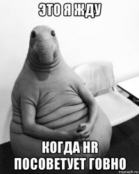 это я жду когда hr посоветует говно