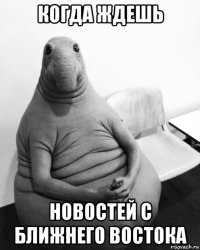 когда ждешь новостей с ближнего востока