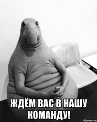  ждём вас в нашу команду!