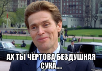  ах ты чёртова бездушная сука....