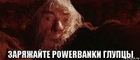  заряжайте powerbankи глупцы