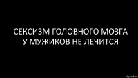 сексизм головного мозга у мужиков не лечится