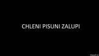 chleni pisuni zalupi