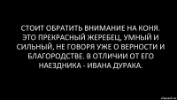 Стоит обратить внимание на коня. Это прекрасный жеребец, умный и сильный, не говоря уже о верности и благородстве. В отличии от его наездника - Ивана дурака.