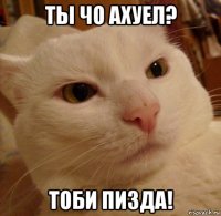 ты чо ахуел? тоби пизда!