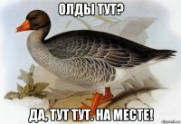 олды тут? да, тут тут. на месте!