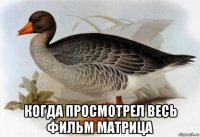  когда просмотрел весь фильм матрица