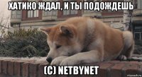 хатико ждал, и ты подождешь (с) netbynet