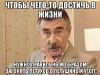 чтобы чего-то достичь в жизни нужно правильным образом загонять петухов в петушиный угол