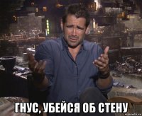  гнус, убейся об стену